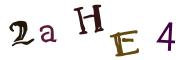 Resimli CAPTCHA